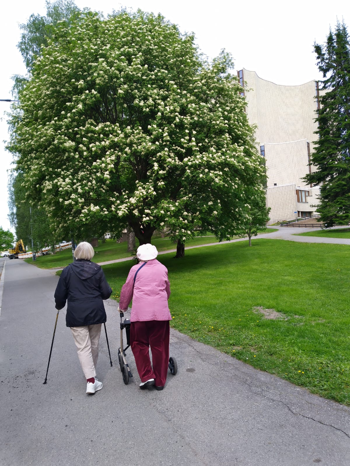 Kuvassa vapaaehtoinen ulkoilee yhdessä ikääntyneen henkilön kanssa.